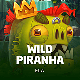 Wild Piranha